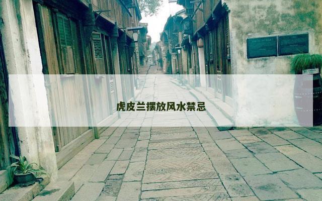 虎皮兰摆放风水禁忌