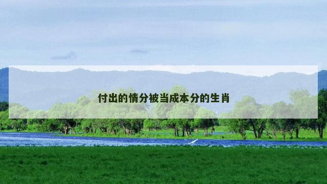 付出的情分被当成本分的生肖