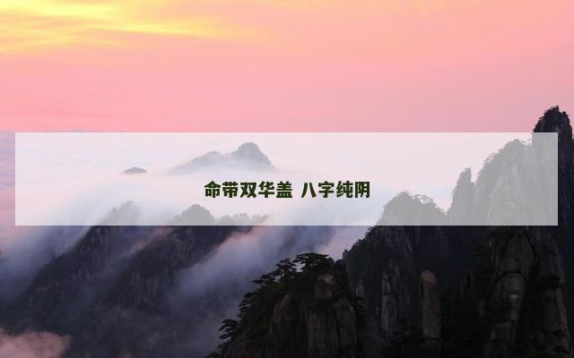 命带双华盖 八字纯阴