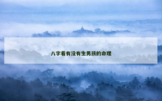 八字看有没有生男孩的命理