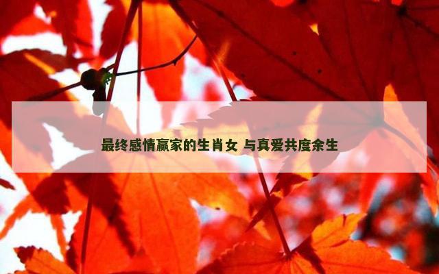 最终感情赢家的生肖女 与真爱共度余生