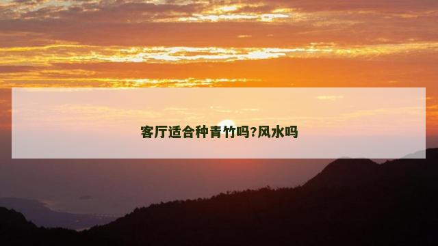 客厅适合种青竹吗?风水吗
