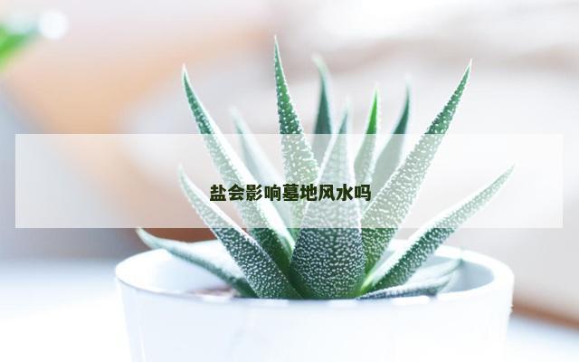 盐会影响墓地风水吗