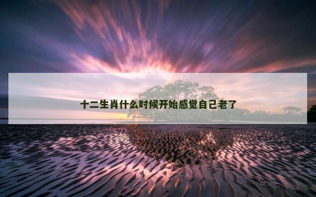 十二生肖什么时候开始感觉自己老了
