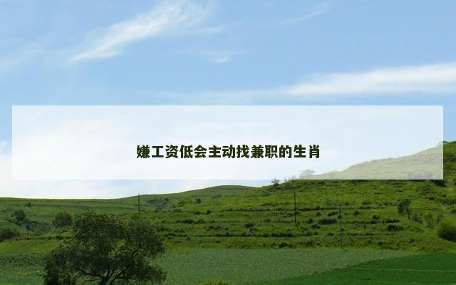 嫌工资低会主动找兼职的生肖