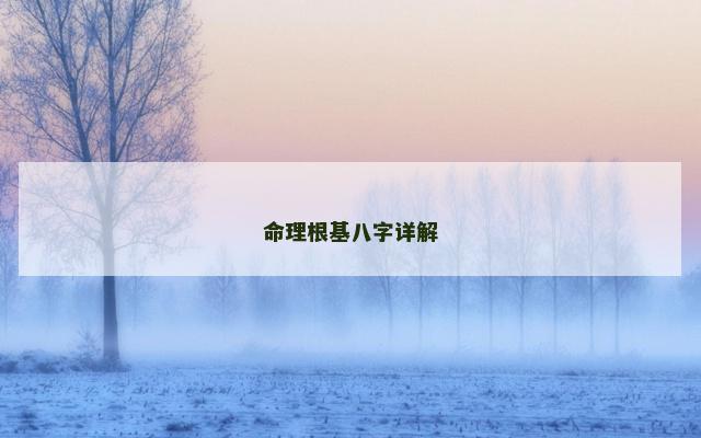 命理根基八字详解