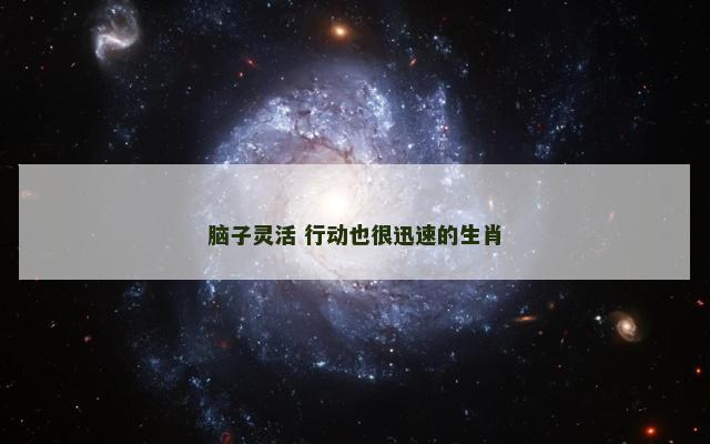 脑子灵活 行动也很迅速的生肖