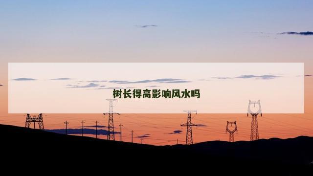 树长得高影响风水吗