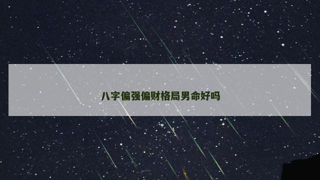 八字偏强偏财格局男命好吗