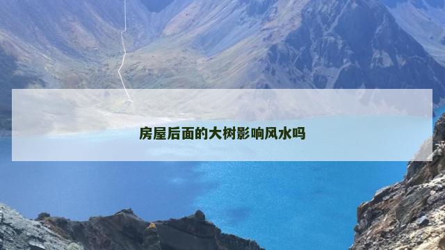 房屋后面的大树影响风水吗