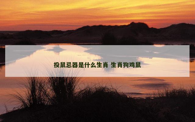 投鼠忌器是什么生肖 生肖狗鸡鼠