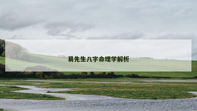 易先生八字命理学解析