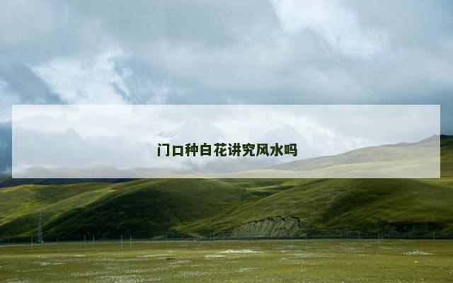 门口种白花讲究风水吗