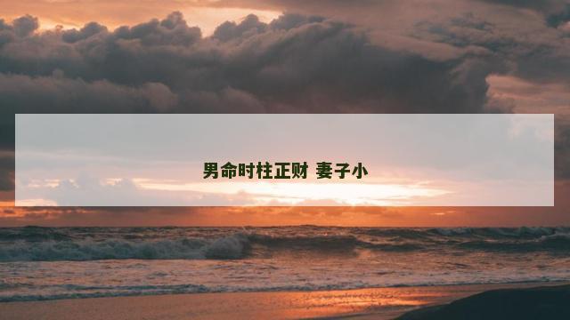 男命时柱正财 妻子小