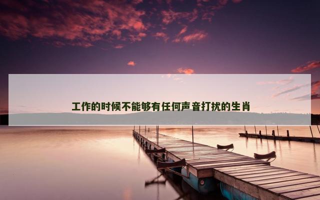 工作的时候不能够有任何声音打扰的生肖