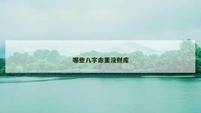 哪些八字命里没财库