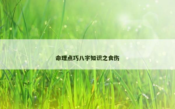 命理点巧八字知识之食伤