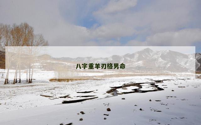 八字重羊刃格男命