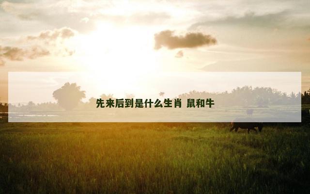 先来后到是什么生肖 鼠和牛