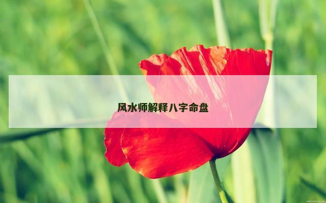 风水师解释八字命盘