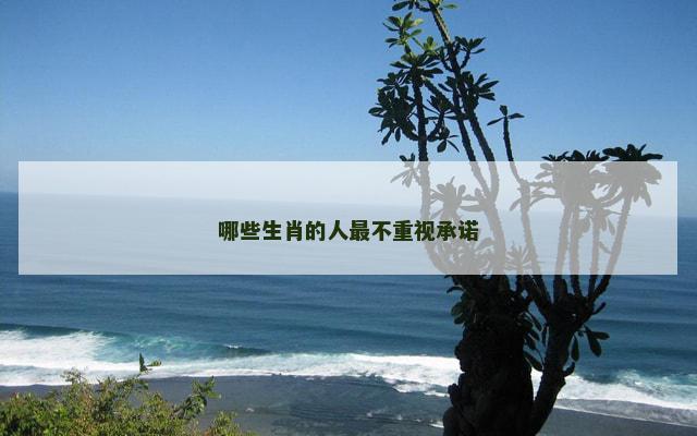 哪些生肖的人最不重视承诺