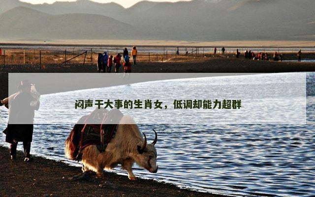 闷声干大事的生肖女，低调却能力超群