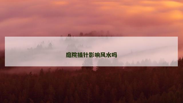 庭院插针影响风水吗