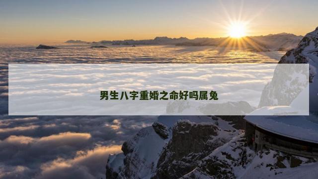 男生八字重婚之命好吗属兔