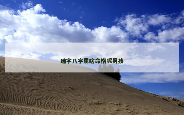 瑞字八字属啥命格呢男孩