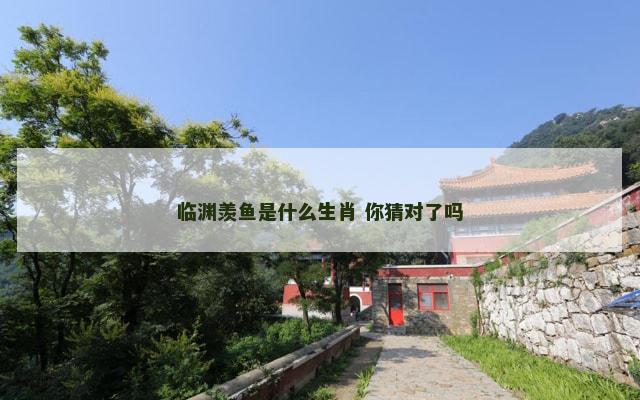 临渊羡鱼是什么生肖 你猜对了吗
