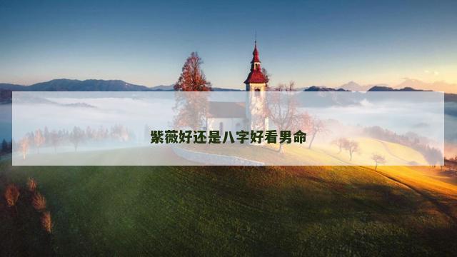 紫薇好还是八字好看男命
