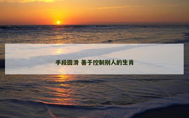 手段圆滑 善于控制别人的生肖