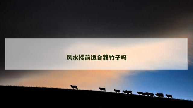 风水楼前适合栽竹子吗