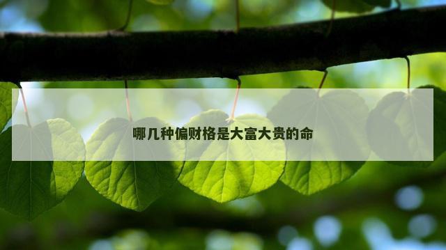 哪几种偏财格是大富大贵的命