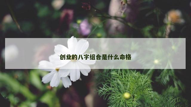 创业的八字组合是什么命格