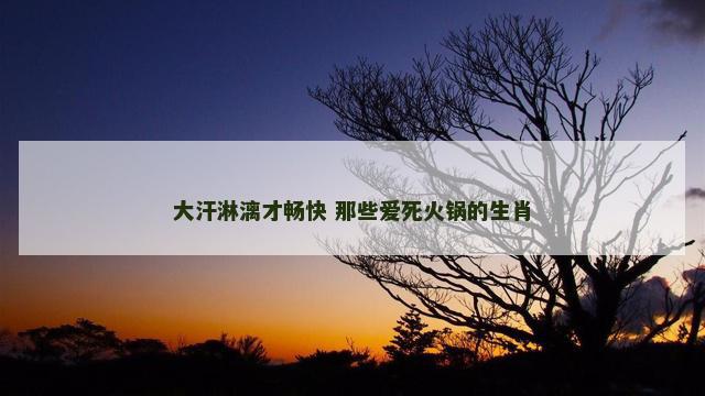 大汗淋漓才畅快 那些爱死火锅的生肖