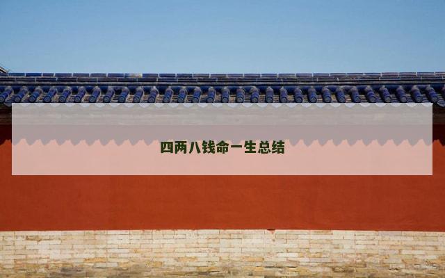 四两八钱命一生总结