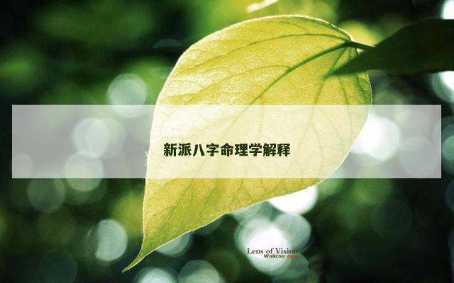 新派八字命理学解释
