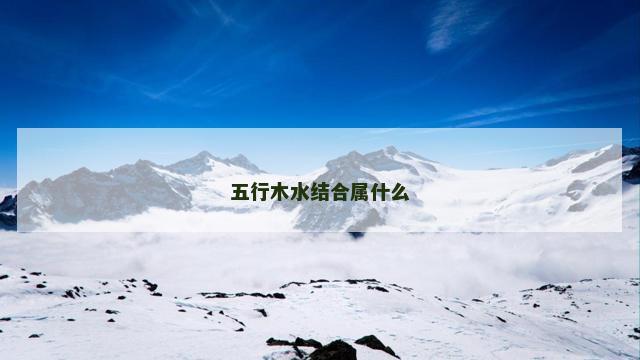 五行木水结合属什么