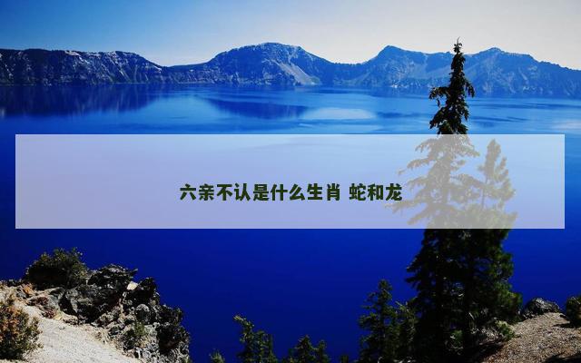 六亲不认是什么生肖 蛇和龙