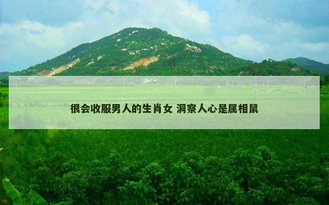很会收服男人的生肖女 洞察人心是属相鼠