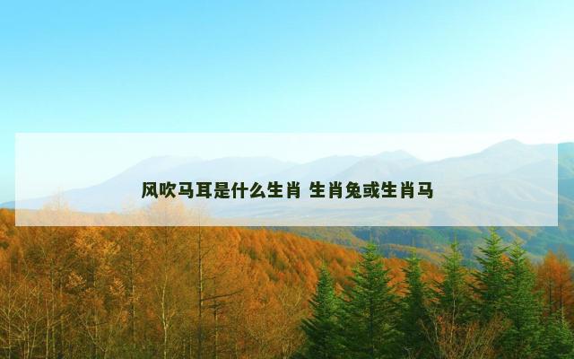 风吹马耳是什么生肖 生肖兔或生肖马