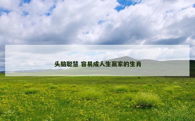 头脑聪慧 容易成人生赢家的生肖