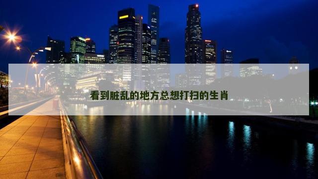 看到脏乱的地方总想打扫的生肖