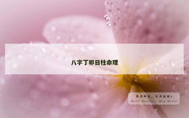 八字丁卯日柱命理