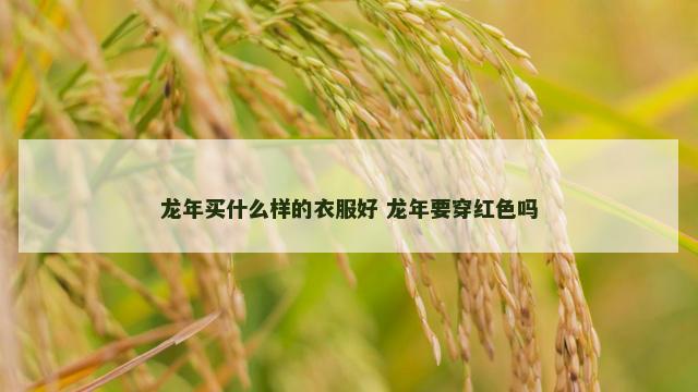 龙年买什么样的衣服好 龙年要穿红色吗