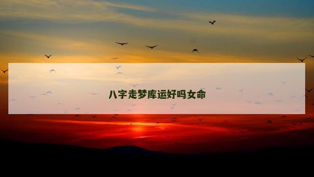 八字走梦库运好吗女命