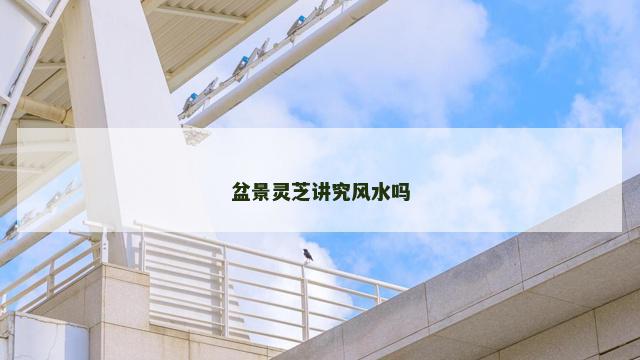 盆景灵芝讲究风水吗