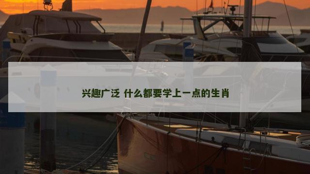 兴趣广泛 什么都要学上一点的生肖