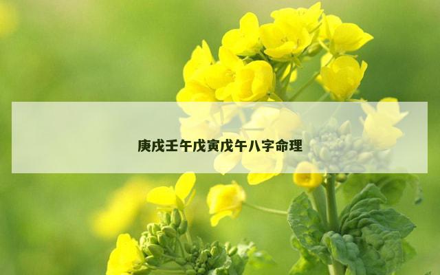 庚戌壬午戊寅戊午八字命理